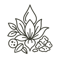 Selection of high-quality raw materials